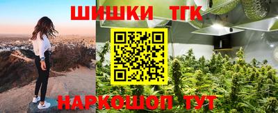 прущие крисы Моздок