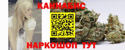 прущие крисы Моздок