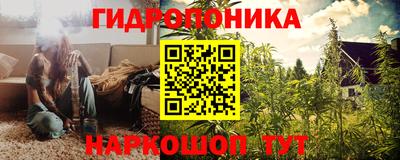 прущие крисы Моздок